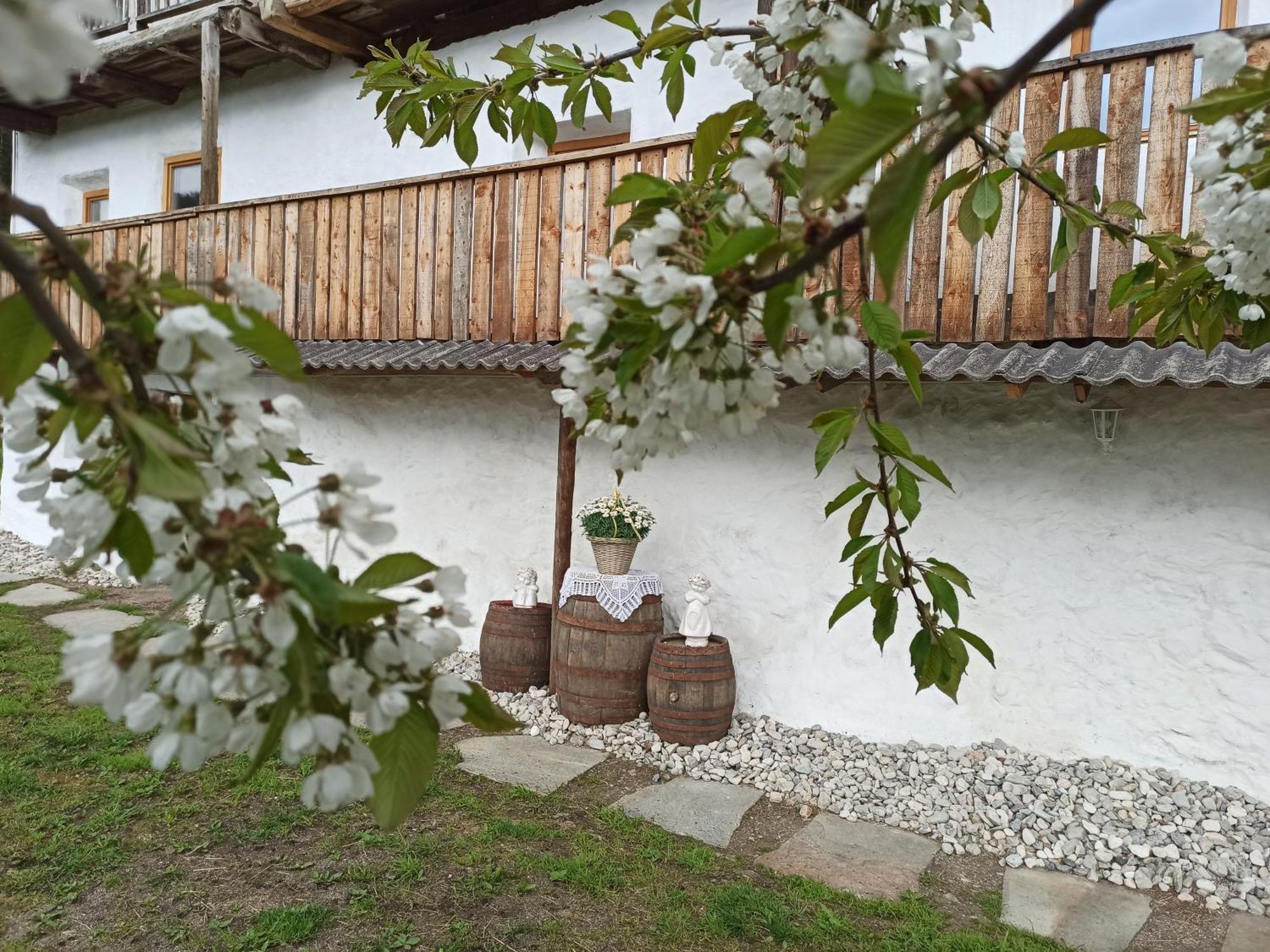 Natur Appartments Riesen ซานลอเรนโซดิเซบาโต ภายนอก รูปภาพ