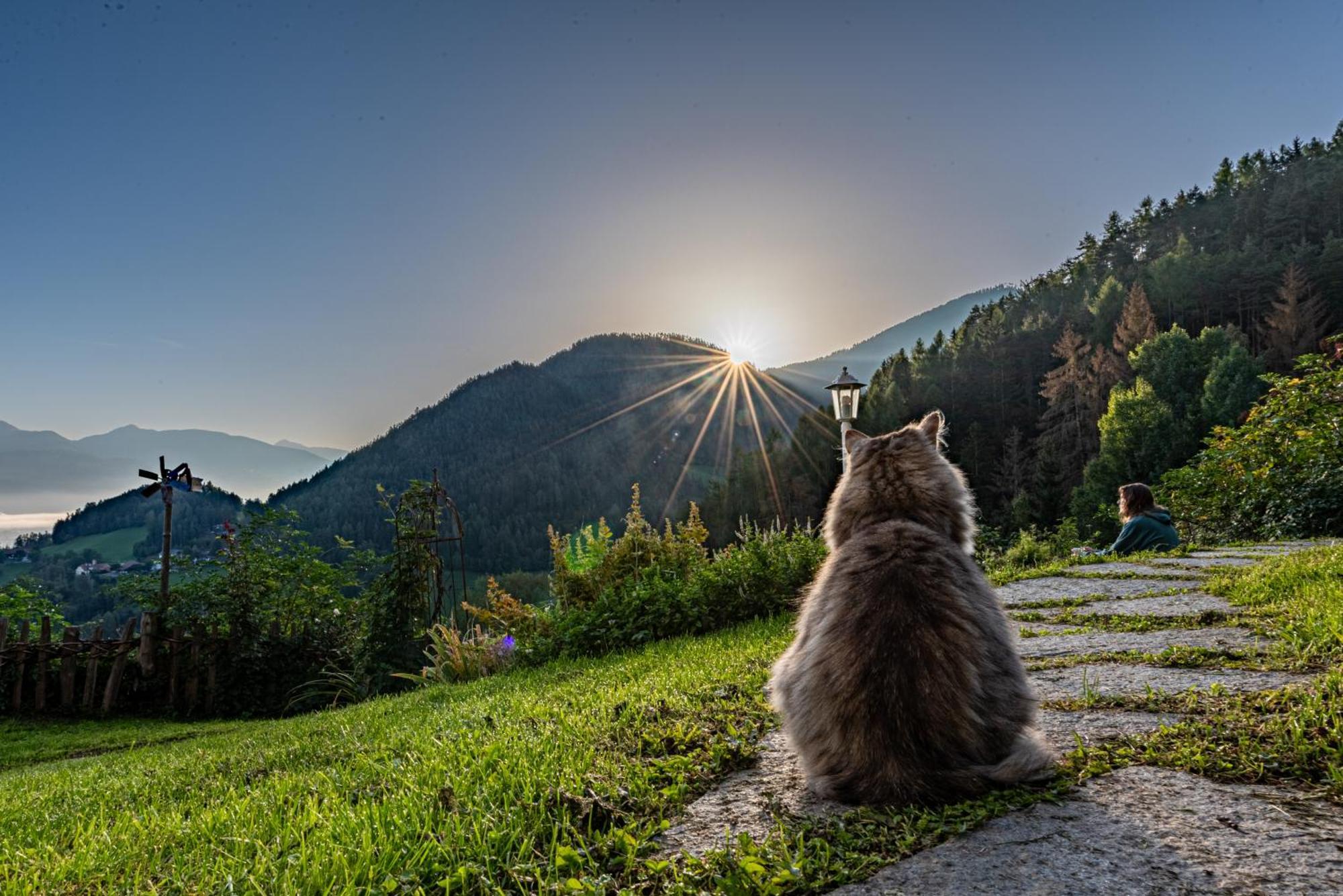 Natur Appartments Riesen ซานลอเรนโซดิเซบาโต ภายนอก รูปภาพ
